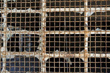 Similar image 1424334