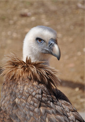 Similar image 1424452