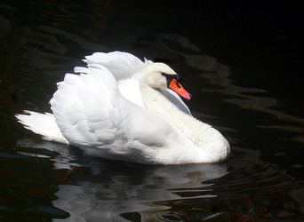 Similar image 1424453