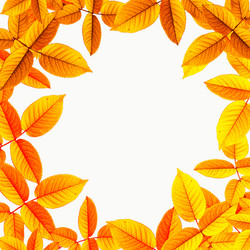 Similar image 1424485