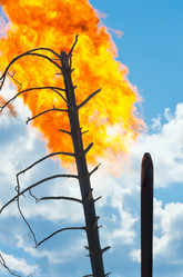 Similar image 1424505