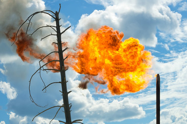 Similar image 1424506