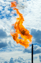 Similar image 1424507