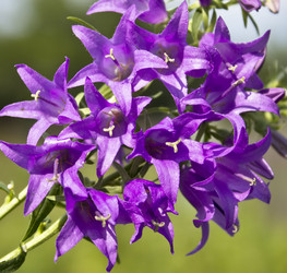 Similar image 1424510