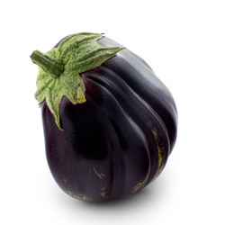 Similar image 1424551