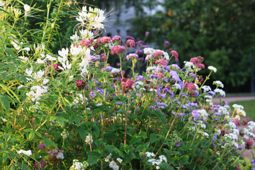 Similar image 1424559