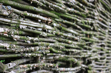 Similar image 1424562