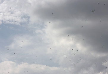 Similar image 1424563