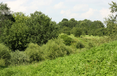 Similar image 1424564