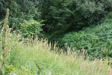 Similar image 1424565