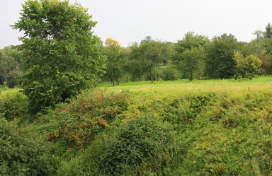 Similar image 1424568