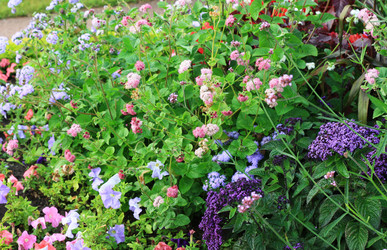 Similar image 1424570