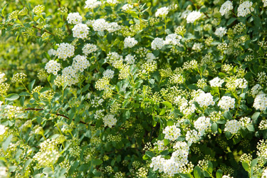 Similar image 1424577