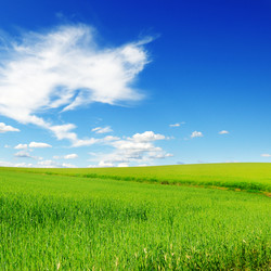 Similar image 1424586