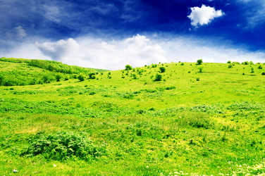 Similar image 1424592