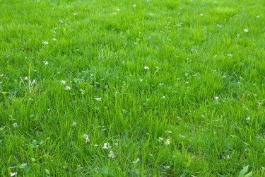 Similar image 1424627