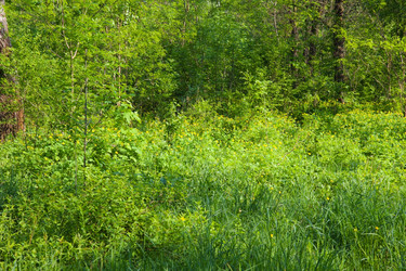 Similar image 1424628