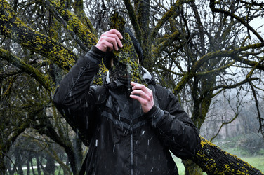 Similar image 1424708