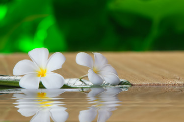 Similar image 1424737