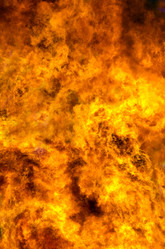 Similar image 1424754