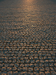 Similar image 1424786