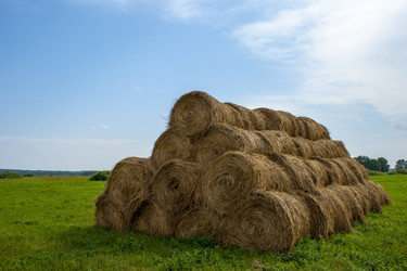 Similar image 1424790