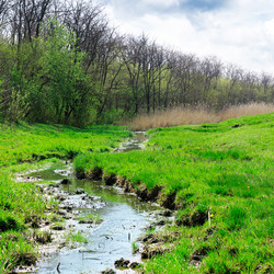 Similar image 1424802