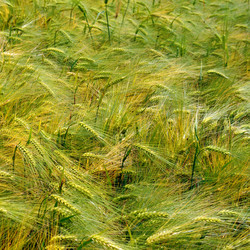 Similar image 1424830