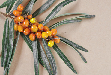 Similar image 1424846