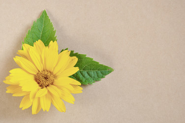 Similar image 1424848