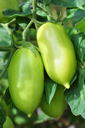 Similar image 1424849