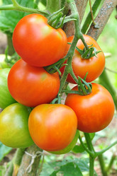 Similar image 1424850