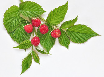 Similar image 1424851