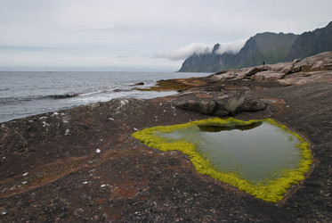 Similar image 1425044