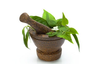 Similar image 1425219