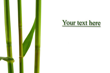 Similar image 1425235