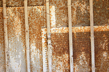 Similar image 1425261