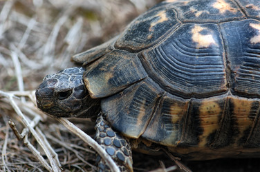 Similar image 1425265