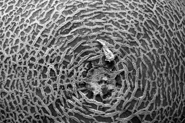 Similar image 1425268