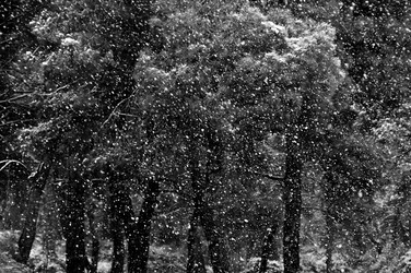 Similar image 1425288