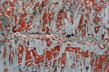 Similar image 1425300