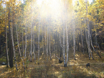 Similar image 1425531