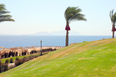 Similar image 1425546