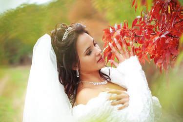 Similar image 1425623