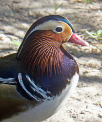 Similar image 1425871