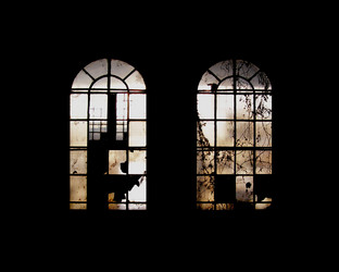 Similar image 1425881