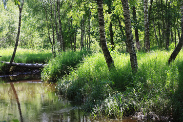 Similar image 1425942