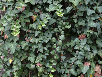 Similar image 1425985