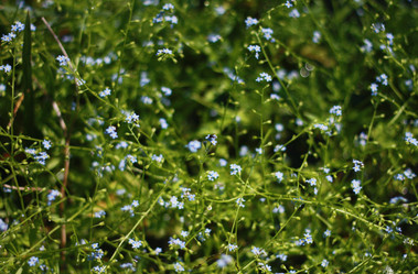 Similar image 1426061