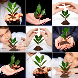 Similar image 1426103